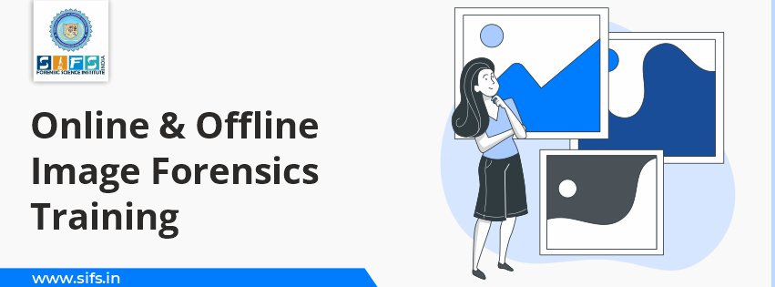 Online & Offline Image Forensics Training