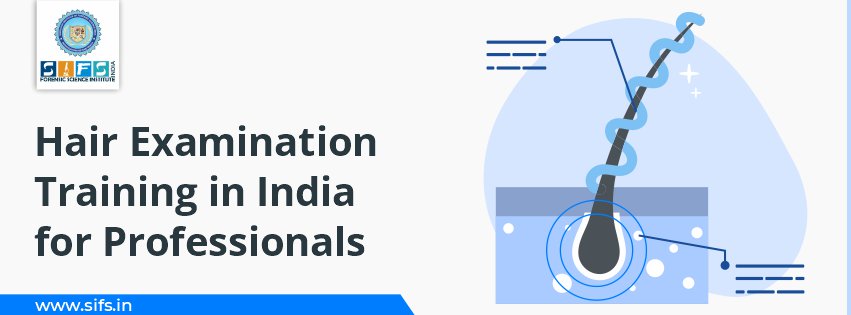 Hair Examination Training in India for Professionals